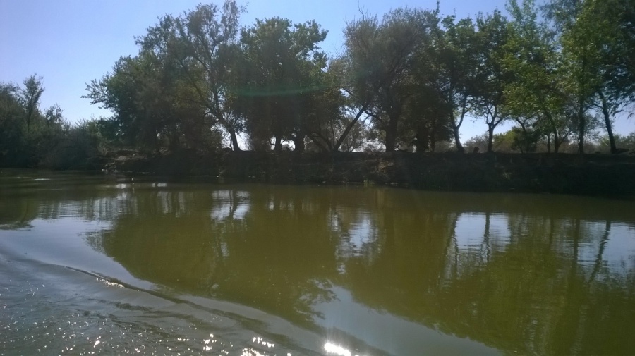 Погода астраханская область камызякский. Село Караульное Камызякский район Астраханская область. Река Караульная Астраханской области. Почва Камызякского района. Камызякский р-он, село Караульное.